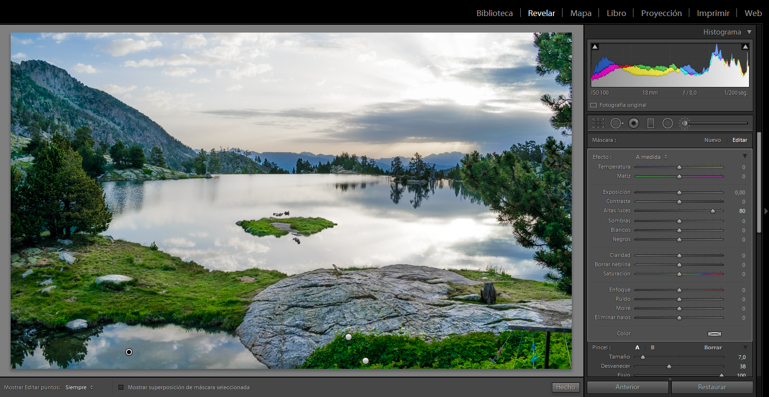 _images/14-brushWater2.png