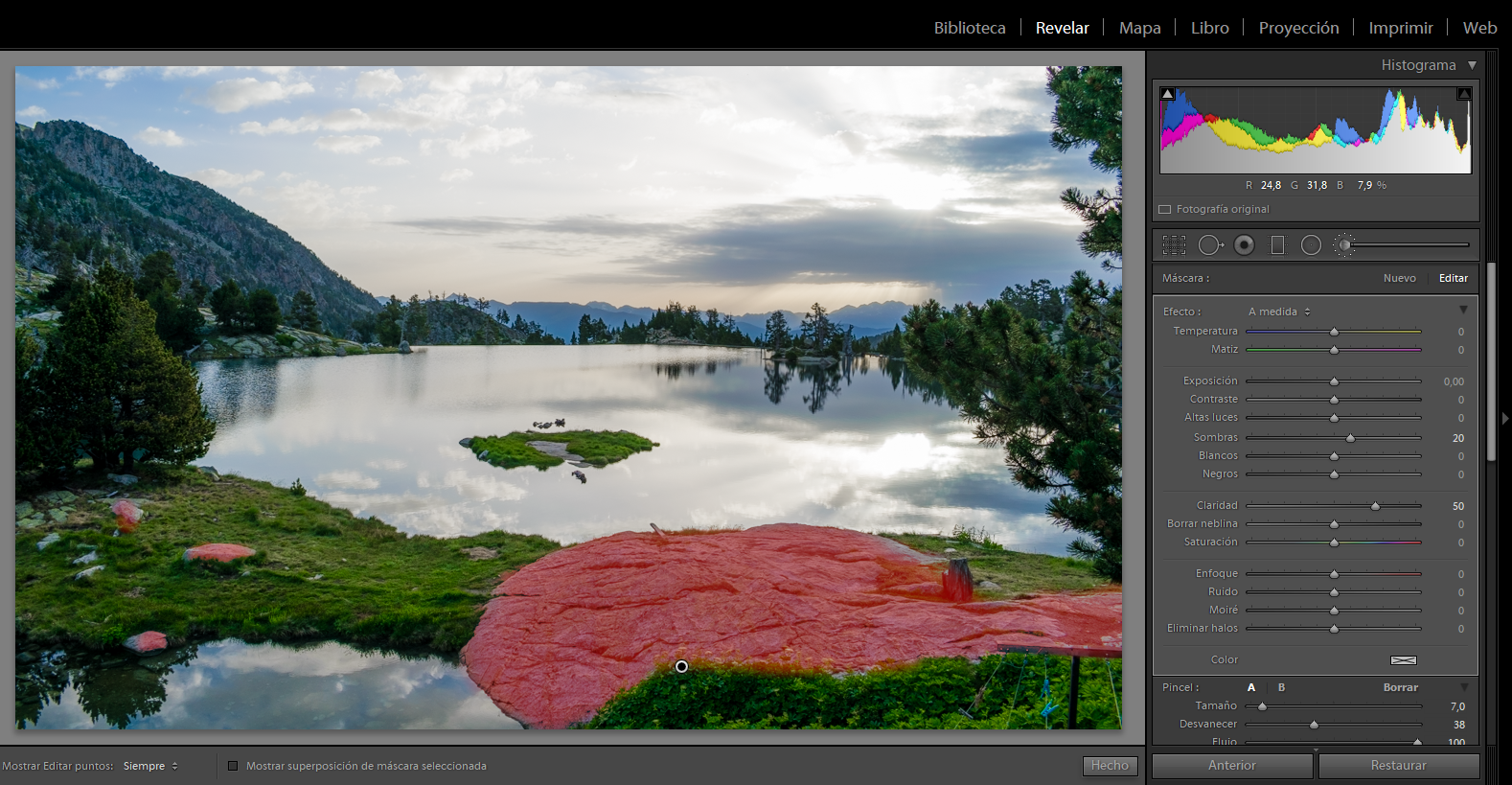 _images/9-brushRocks1.png